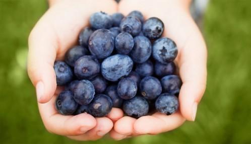 Depressed in the Summer? Eat More Blueberries!