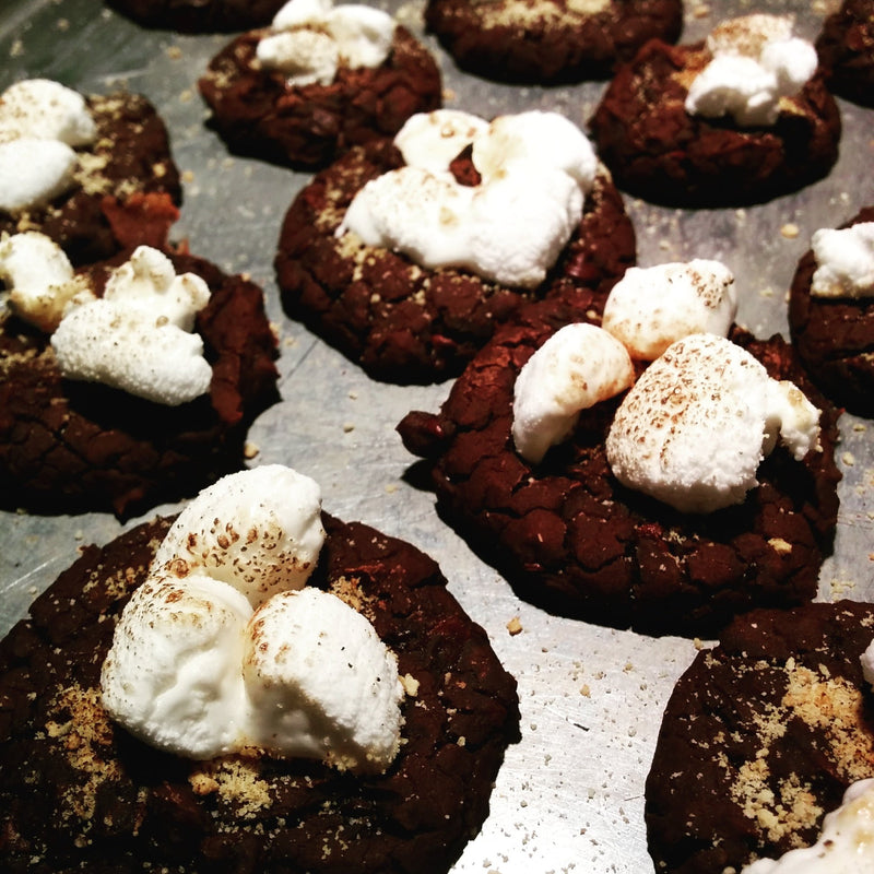 High Protein, Low Carb AND Low Fat Vegan Chocolate Smores Cookies